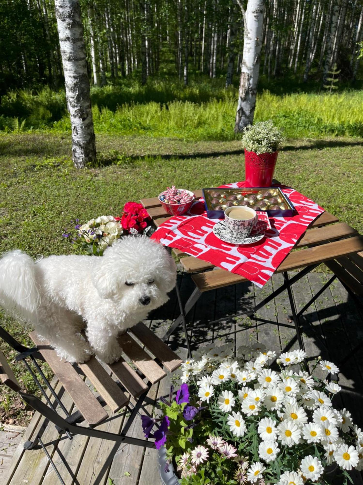 Rauhan Marinella Village Virasoja Exteriör bild